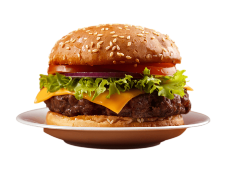 Angus Beef Patties (Hamburger) Online Hot Sale