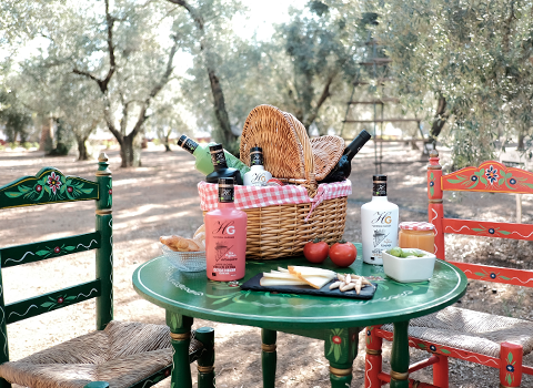 Picnic Online