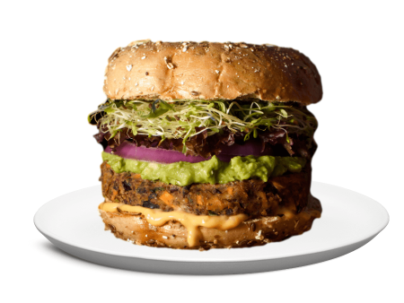 Veggie Burger Patties For Cheap