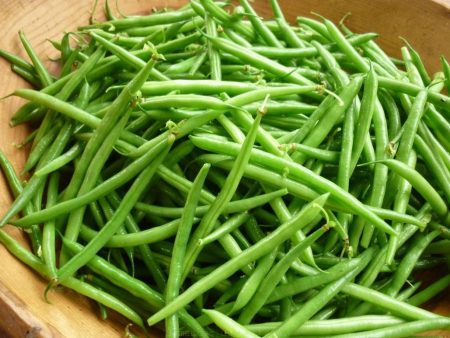 Haricot vert extra-fin Green Masai Discount