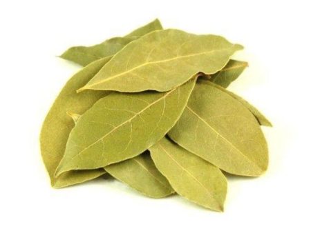 BAY LEAF HERB Dried Daun Salam Kering Italy Online