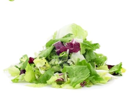 SALAD MIXED  MESCLUN Cameron Hot on Sale