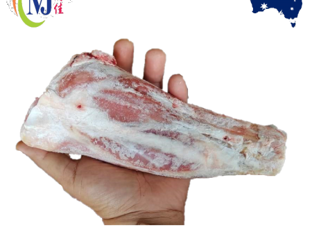 LAMB SHANK Bone-In Australian Frozen Supply