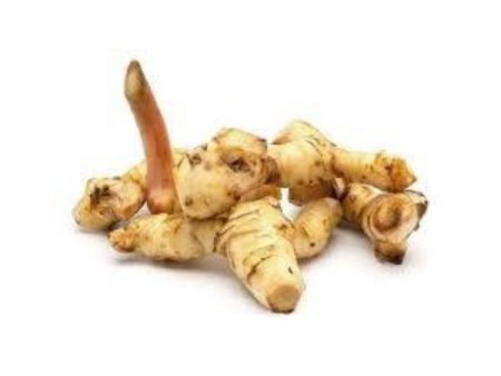 LENGKUAS Galangal Blue Ginger Cheap