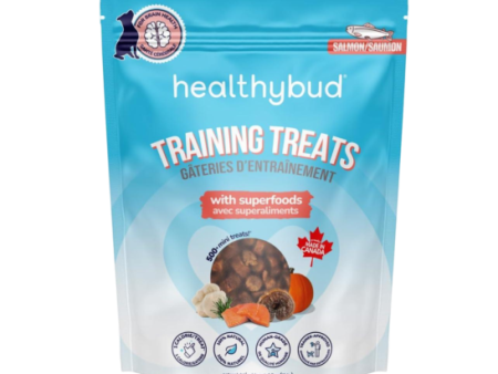 Healthybud Mini Training Treats Superfood Salmon 184g Cheap