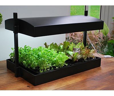 Potager d intérieur SUNBLASTER GROW LIGHT GARDEN Hot on Sale