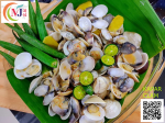 KAPAR CLAM Whole Frozen For Cheap