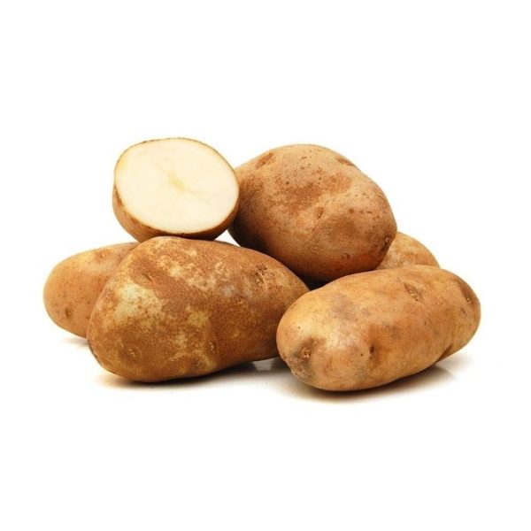 POTATO RUSSET USA Supply