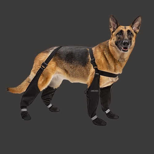 Canada Pooch Suspender Boots Black 1 Online