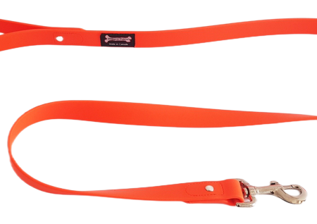 Smoochy Poochy Polyvinyl Leash - Orange Discount