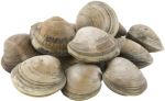 KAPAR CLAM Whole Frozen For Cheap