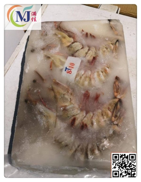 SEA TIGER PRAWN Sabah Frozen Cheap