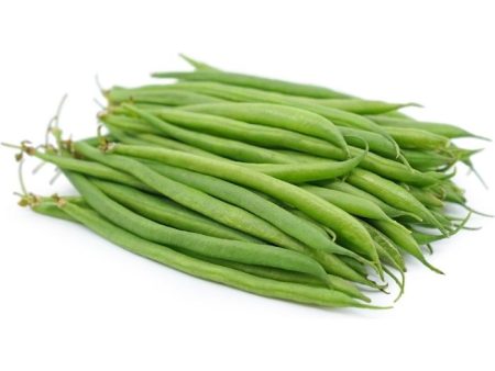 KACANG BUNCIS   FRENCH BEAN Supply