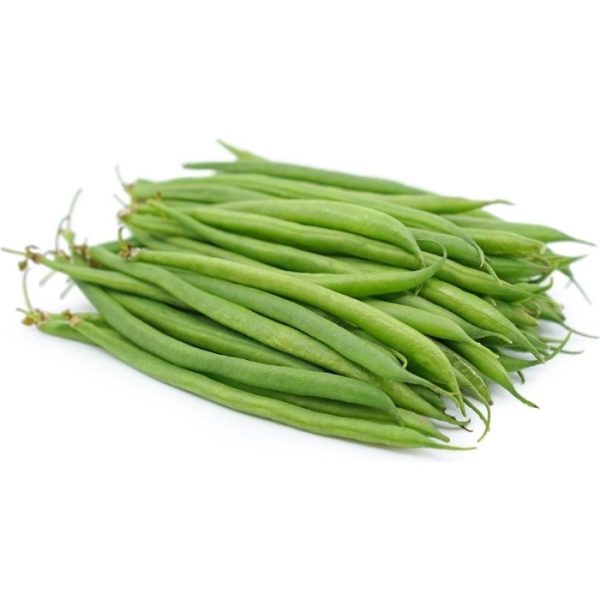 KACANG BUNCIS   FRENCH BEAN Supply