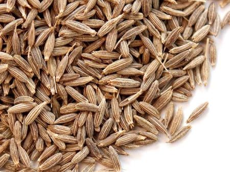 BIJI JINTAN PUTIH   Cumin Seed Discount