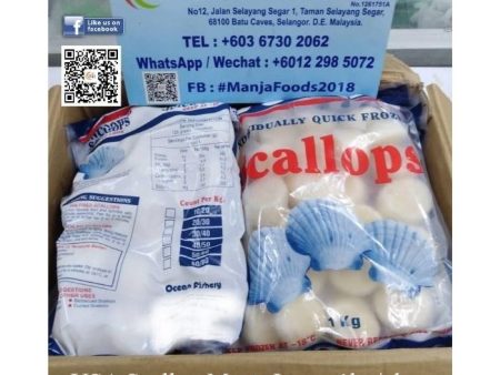 SCALLOP MEAT Canada on Sale