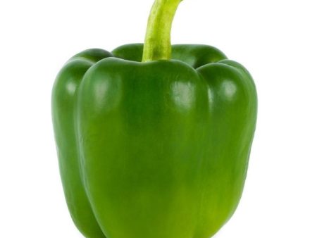 BELL PEPPER Green Cili Apple Hijau Online now