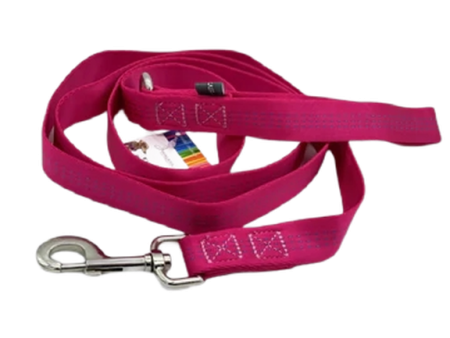 Jwalker 6 Foot Leash - Pink Online Sale