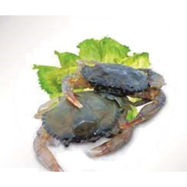 CRAB SOFT SHELL Online now