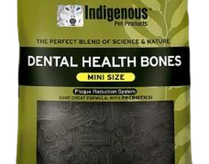 Indigenous Dental Health Bones - Mini Supply