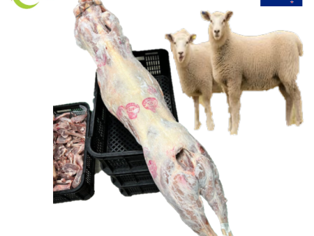 LAMB CARCASE WHOLE Frozen (Saiz 14-18kg Australian) Fashion