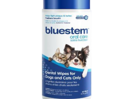 Bluestem Dental Wipes for Dog & Cat 60ct Online Sale