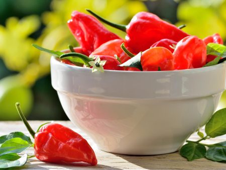 Piment Habanero Maya on Sale