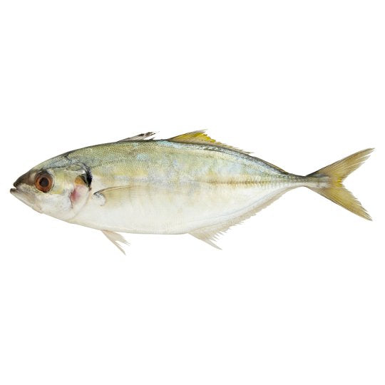 FISH SELAR Fresh (6-8pcs) Sold by kg For Cheap