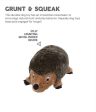 Outward Hound Hedgehog on Sale