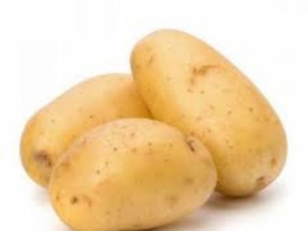 POTATO from Holland Online Hot Sale