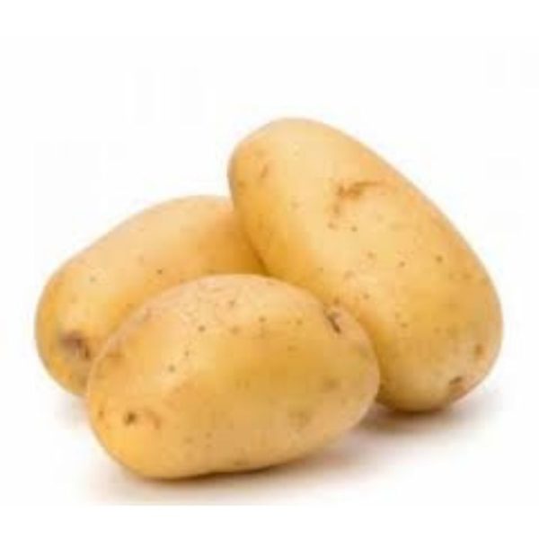 POTATO from Holland Online Hot Sale