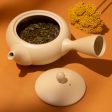 Kyusu Japanese Teapot Online Sale