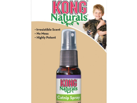 Kong Cat Nip Spray 1 OZ Fashion