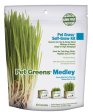 Pet Greens Garden Self Grow Cat Grass Supply