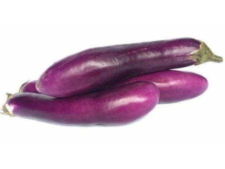 TERUNG PANJANG BRINJAL on Sale