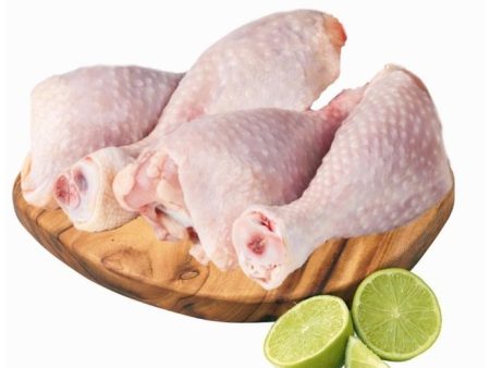 CHICKEN DRUMSTICK Saiz M 80g Fresh on Sale