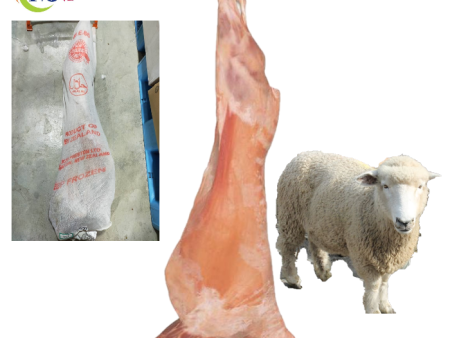 LAMB CARCASE WHOLE Saiz 14-16kg New Zealand Frozen For Cheap