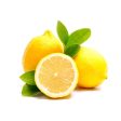 LEMON YELLOW Fresh on Sale