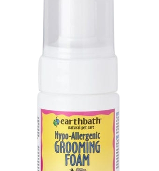 Earthbath Foaming Shampoo - Hypo Cat 4 OZ Cheap