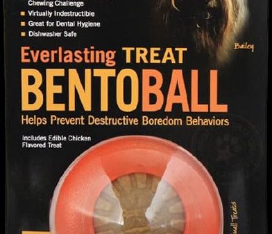 StarMark Bento Ball For Cheap