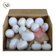 BUTTON MUSHROOM White Supply