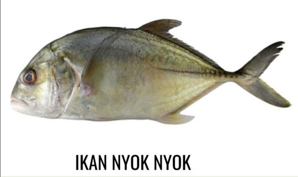 FISH NYOK NYOK Hot on Sale