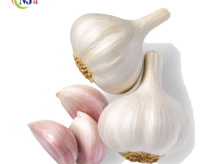 GARLIC WHOLE WHITE   BAWANG PUTIH Online now