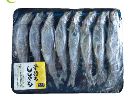 FISH SHISAMO Japan 8pcs pack Discount