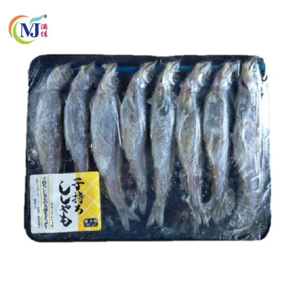 FISH SHISAMO Japan 8pcs pack Discount