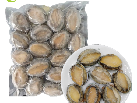 ABALONE Half Shell New Zealand Discount