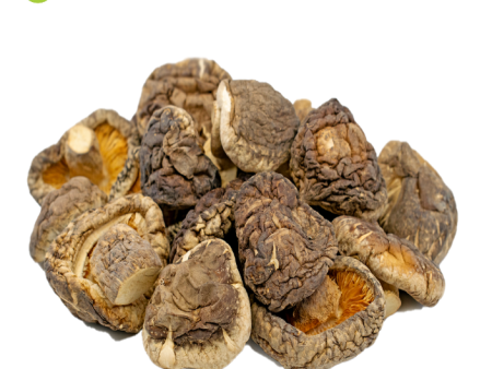 MUSHROOM DRIED Black Supply