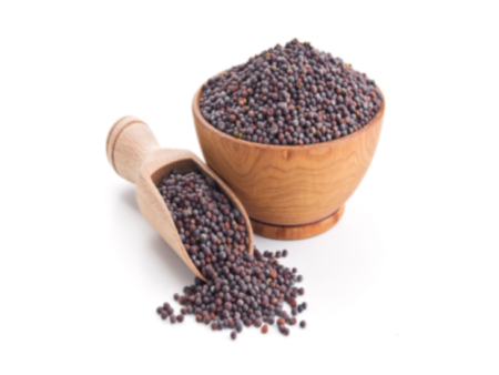 BIJI SAWI Hitam   Black Mustard Seeds Cheap