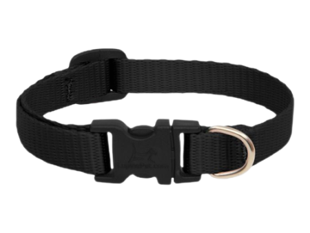 Lupine Basic Collar - Black Sale