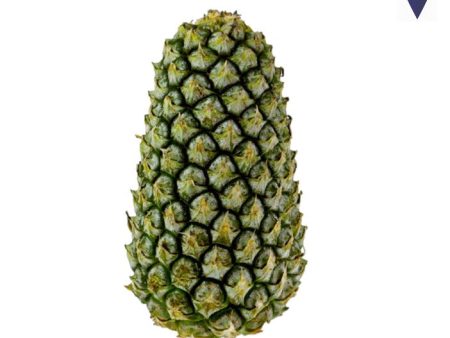 NANAS  PINEAPPLE MORRIS Fresh Sale